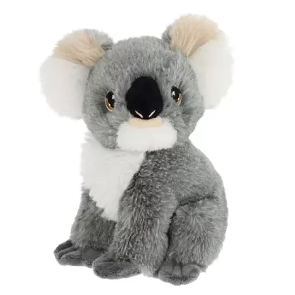 Koala 19€