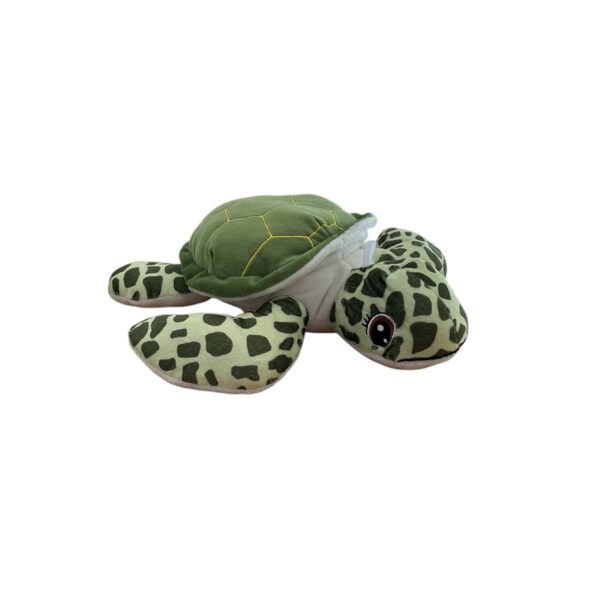 Tortue 11€