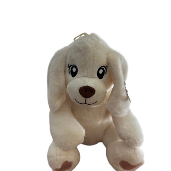 Chien 15€