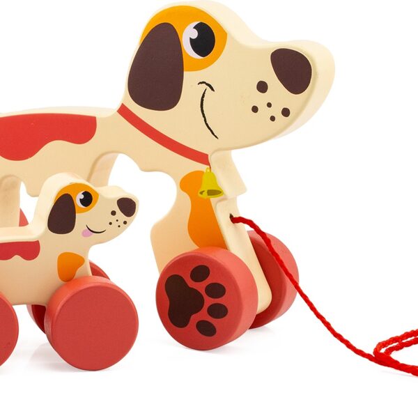 1546 A trainer maman chien 18€