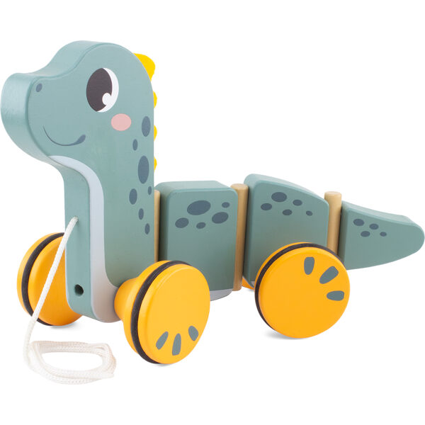 1582 A trainer Dino Rigolo 21€