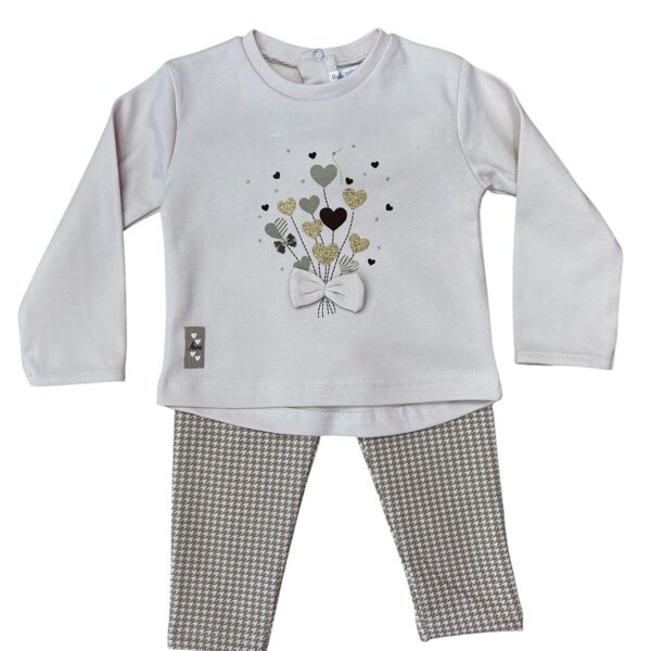 251028 Tee-shirt+legging 32€