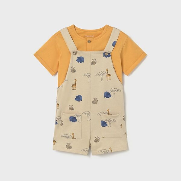 1664  Ensemble 41€