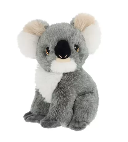 Koala 19€