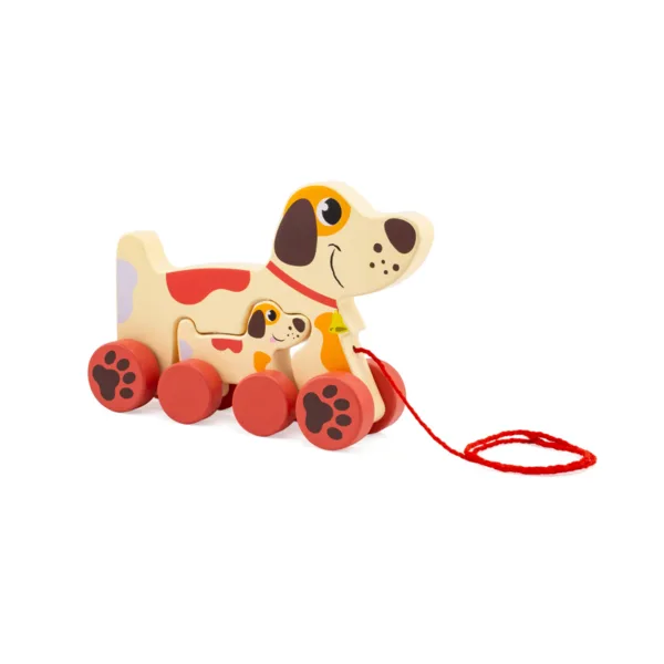 1546 A trainer maman chien 18€