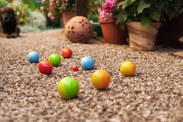 56658 Jeu de boules 29€