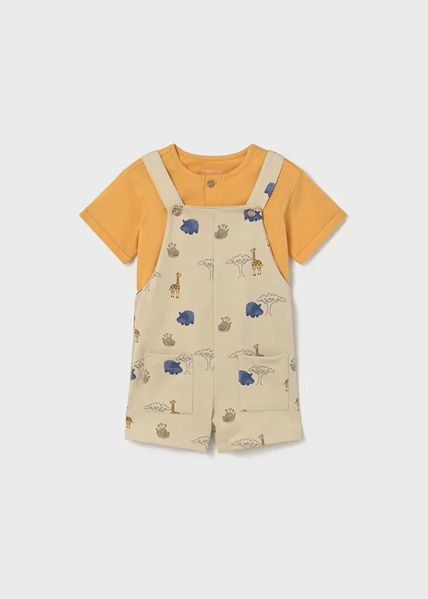 1664  Ensemble 41€