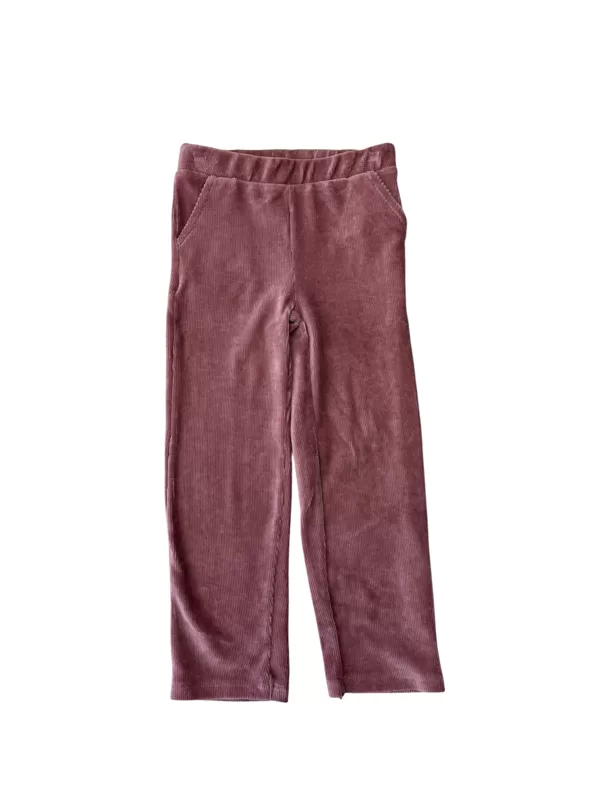 251459 Pantalon velours 21€